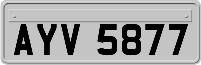 AYV5877