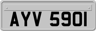 AYV5901