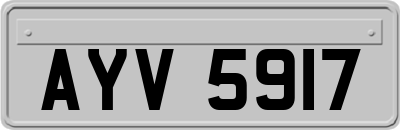 AYV5917