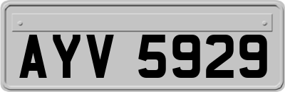 AYV5929