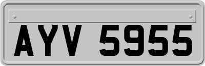 AYV5955