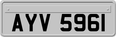 AYV5961