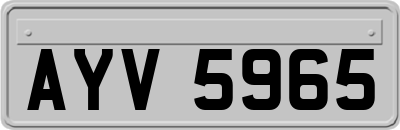 AYV5965