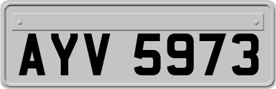 AYV5973