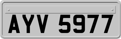 AYV5977
