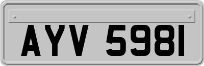 AYV5981