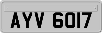 AYV6017