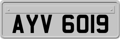 AYV6019