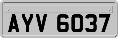 AYV6037