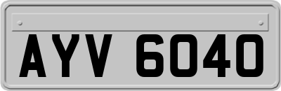 AYV6040