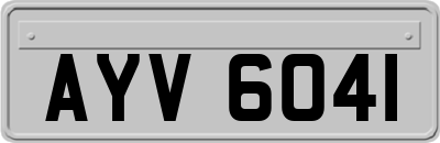AYV6041