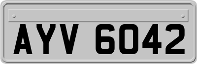 AYV6042