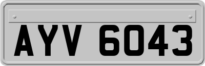 AYV6043