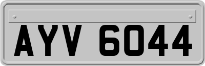 AYV6044