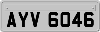 AYV6046