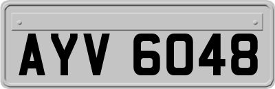 AYV6048