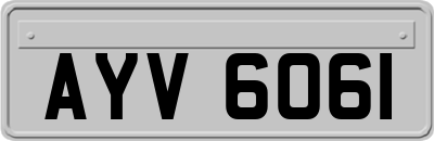AYV6061