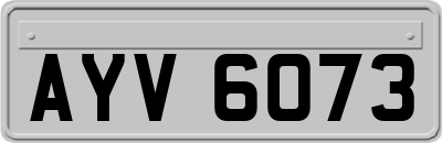 AYV6073