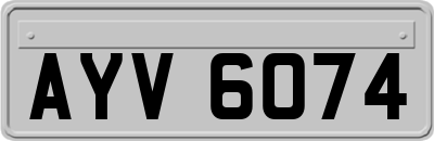 AYV6074