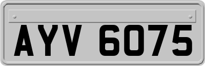 AYV6075