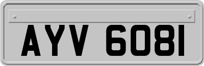 AYV6081