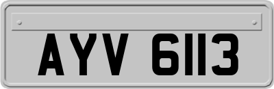 AYV6113