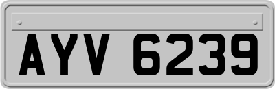 AYV6239