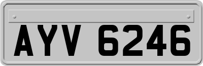 AYV6246