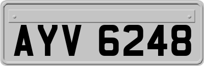 AYV6248