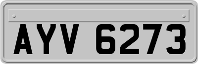 AYV6273