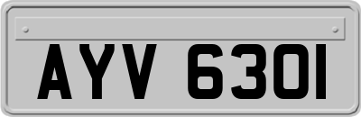 AYV6301