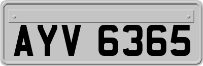 AYV6365