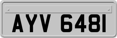 AYV6481