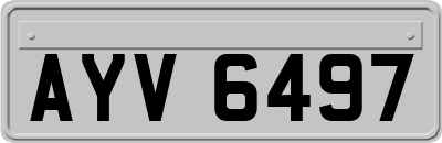 AYV6497
