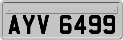 AYV6499