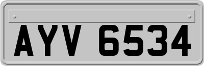 AYV6534