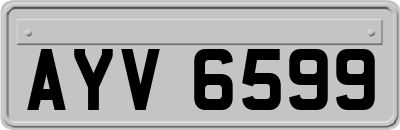 AYV6599