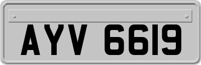 AYV6619