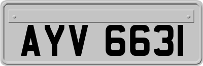 AYV6631