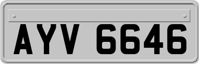 AYV6646