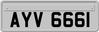AYV6661