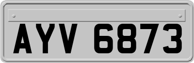AYV6873