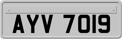 AYV7019