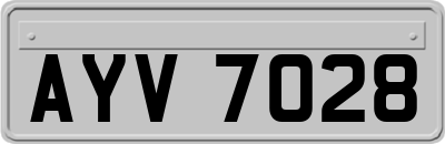 AYV7028