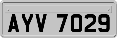 AYV7029
