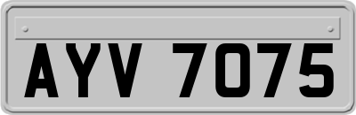 AYV7075