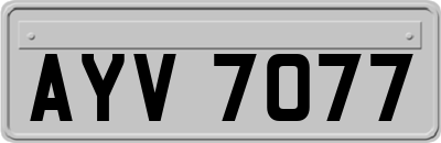 AYV7077