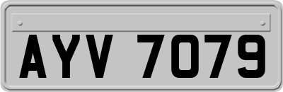 AYV7079