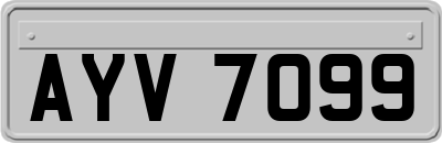 AYV7099