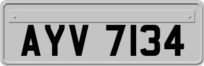 AYV7134